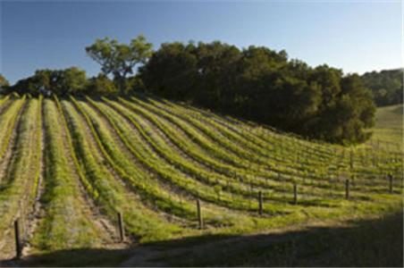 Dunning Vineyards Guest Villa Paso Robles Exterior photo